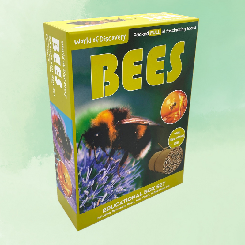 Educational box set about bees with a bee illustration on a green background
