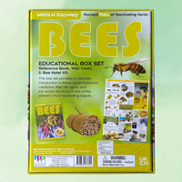 Educational box set about bees with a green background