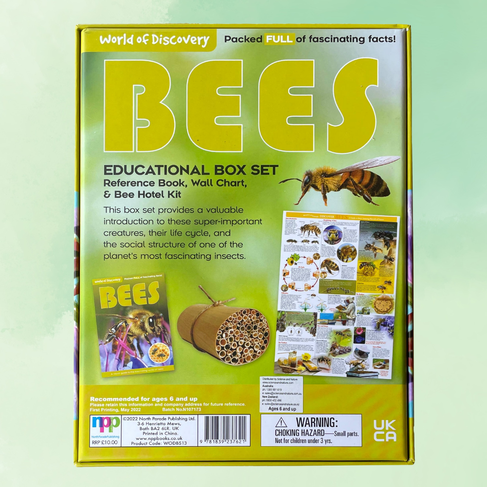 Educational box set about bees with a green background