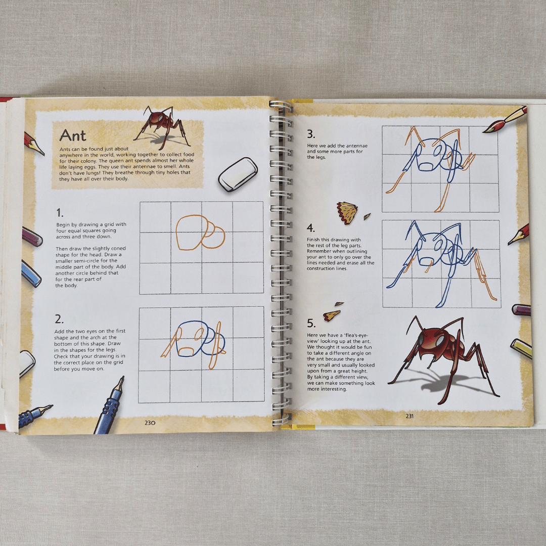 Open book with drawing instructions for an ant on a textured surface