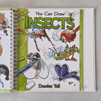 Book titled 'You Can Draw INSECTS' with illustrations of various insects on a grey surface.