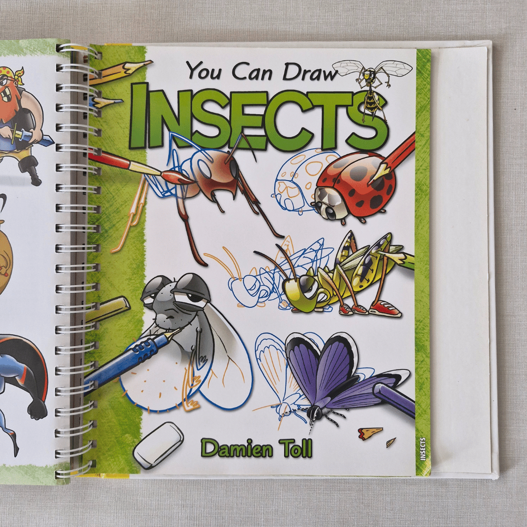 Book titled 'You Can Draw INSECTS' with illustrations of various insects on a grey surface.