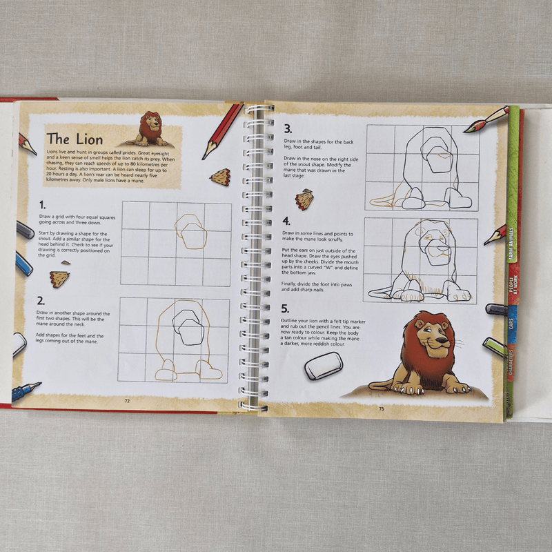 Open book showing a drawing tutorial for a lion on a grey surface