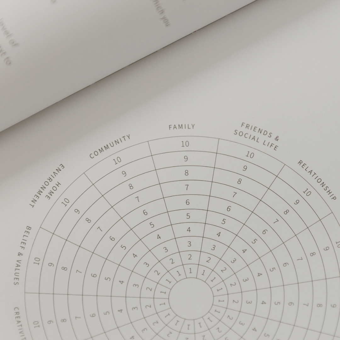Wellbeing Circular rating scale on a piece of paper with categories like 'Family', 'Friends & Social Life', and 'Relationship'.