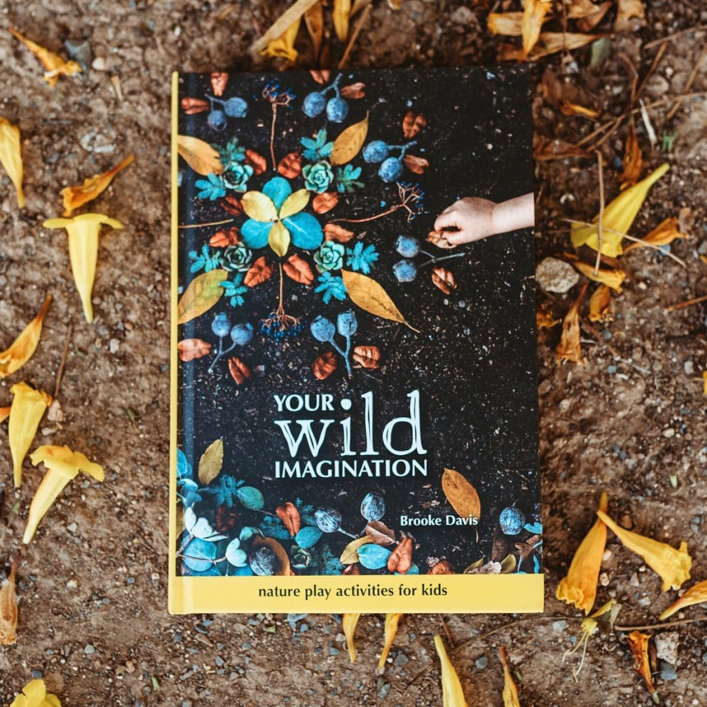 Your Wild Imagination Book