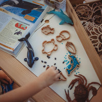 sea creature shaped dough cutters on a table with a whale book and coloured rice