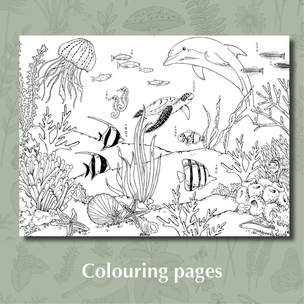 My First Wild Activity Book