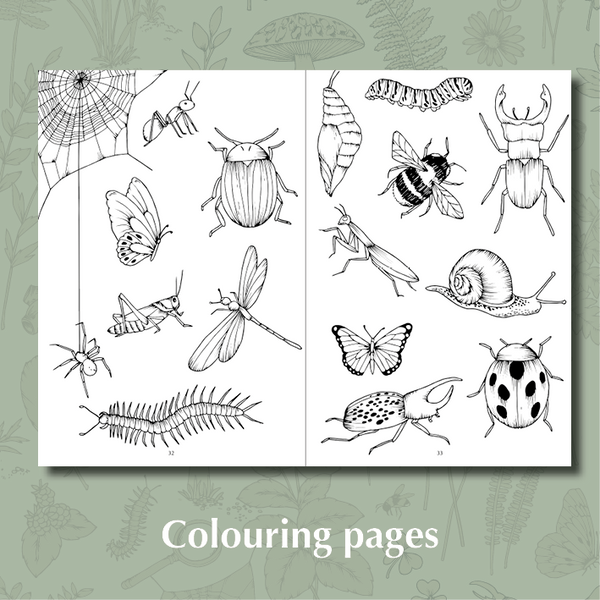 My First Wild Activity Book
