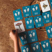 Your Wild Memory Card Game