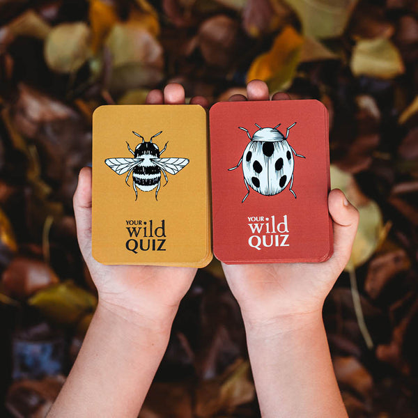 Your Wild Quiz